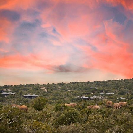 Kwandwe Private Game Reserve - Ecca Lodge Grahamstown Exterior photo