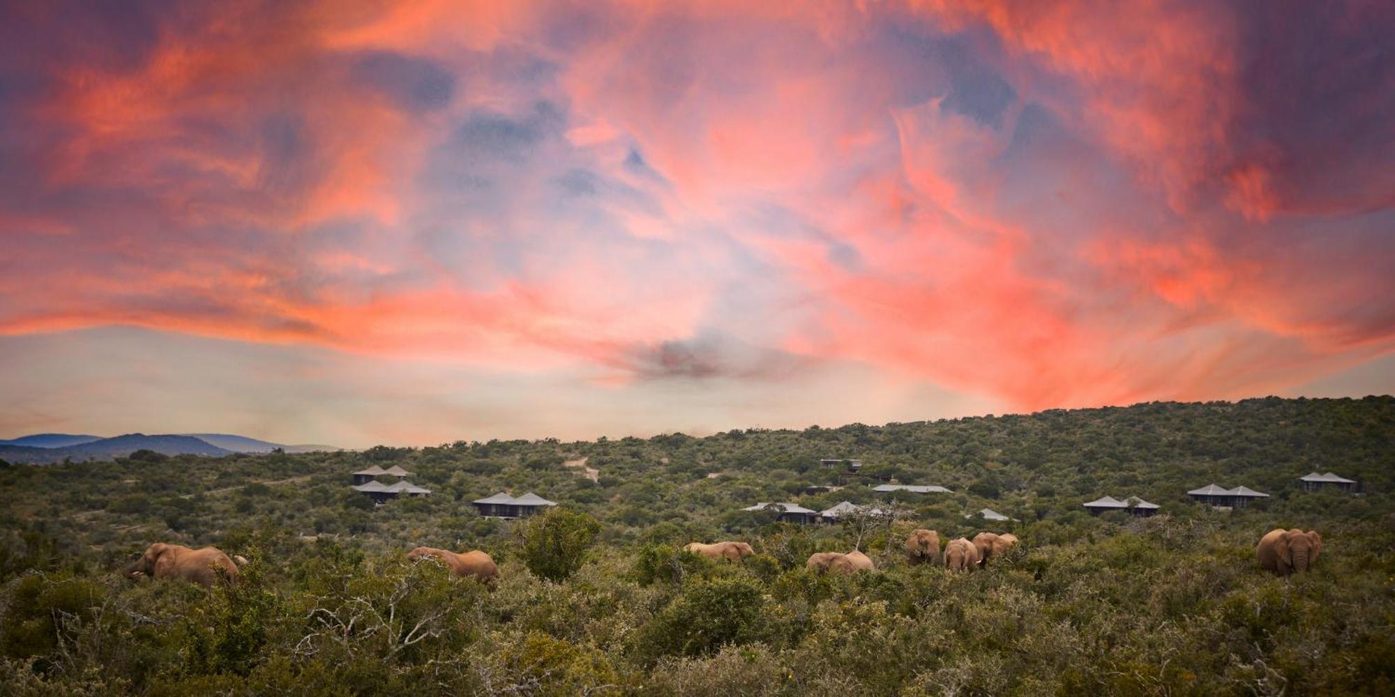 Kwandwe Private Game Reserve - Ecca Lodge Grahamstown Exterior photo