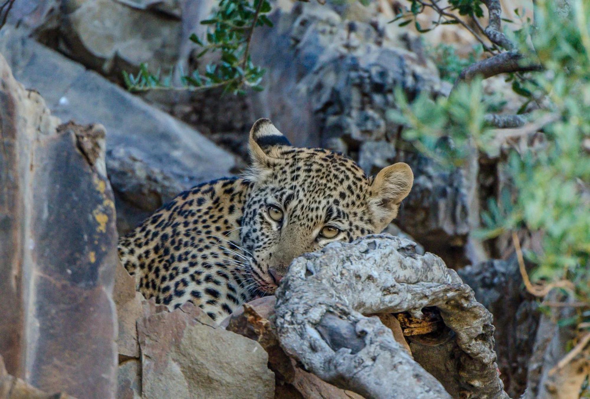 Kwandwe Private Game Reserve - Ecca Lodge Grahamstown Exterior photo